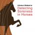 A Review of Methods for Detecting Soreness in Horses
